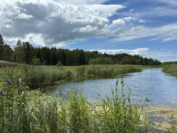 Nous suivons les sinuosités des îles truffées de lacs.
