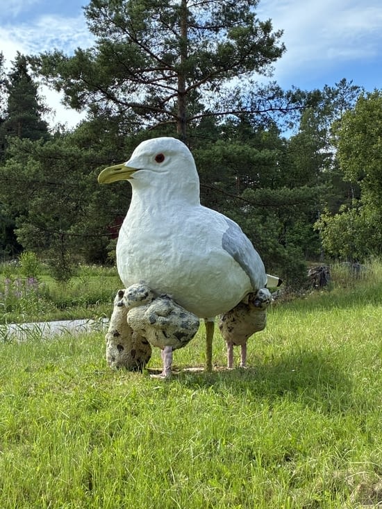 La Finlande veille sur ses petits…
