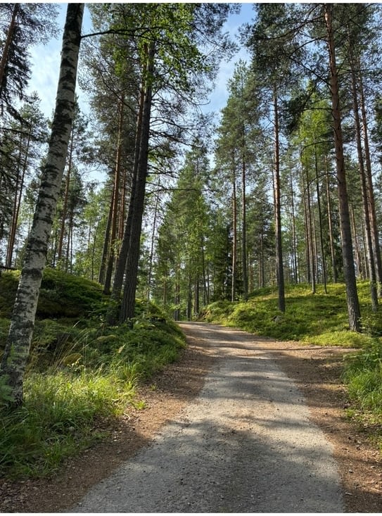 .. aux arbres immenses