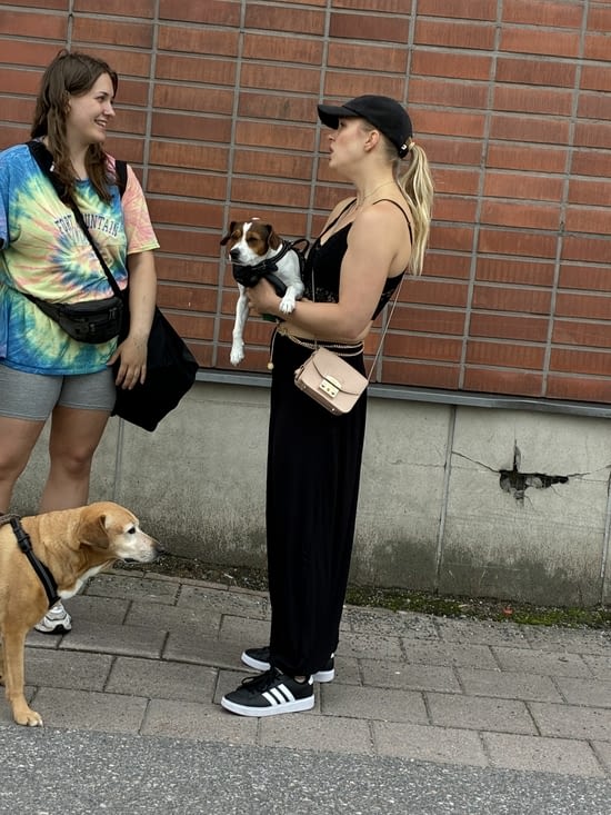 Jusqu’à présent nous avions vu des chiens un peu partout.