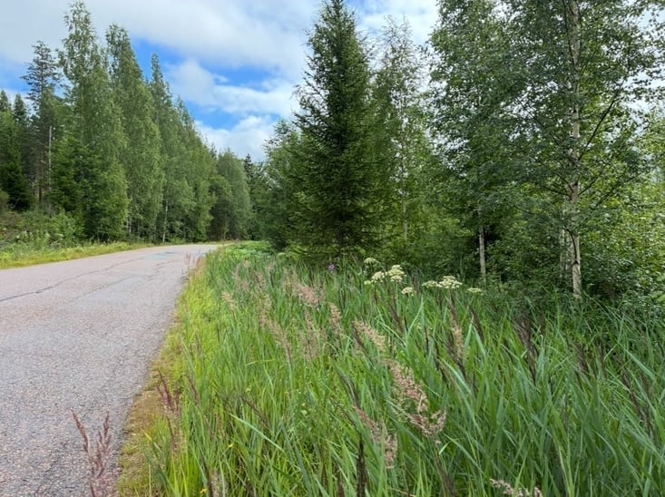 Mais nous préférons garder nos destriers pour la suite du chemin…