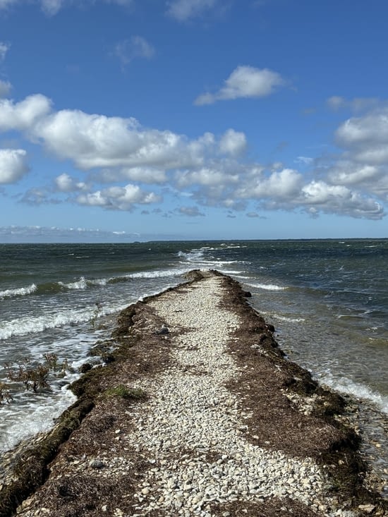… Il finit par se perdre dans la mer.