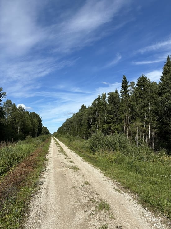 Il n’y a pas foule entre les rangées d’arbres.