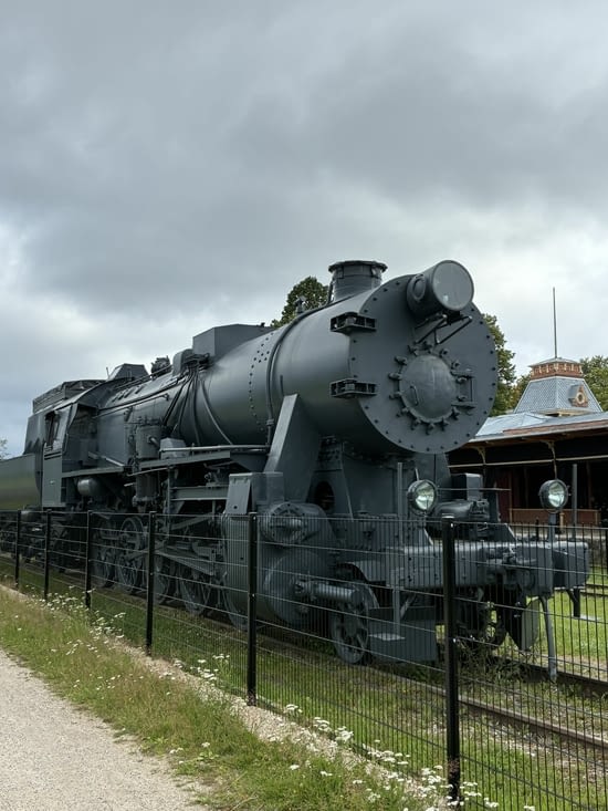 Mais avant d’embarquer nous voyons quelques trains….
