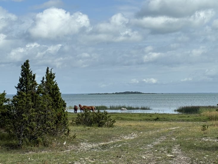 Mais ouverte sur les côtes.