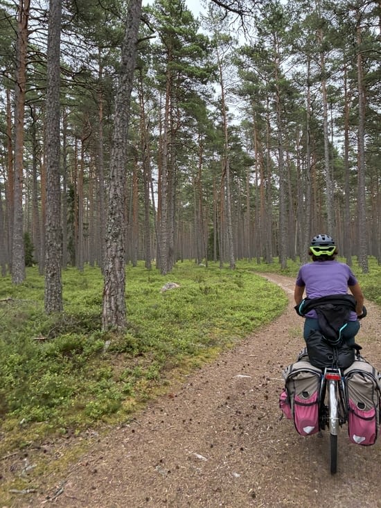 Nous nous enfonçons de plus en plus profondément dans la forêt….