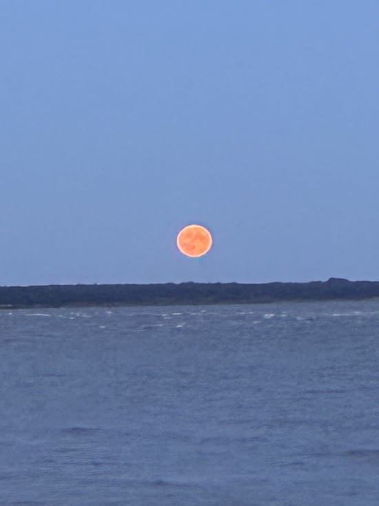 Où la lune nous fait le cadeau de se lever sous nos yeux.