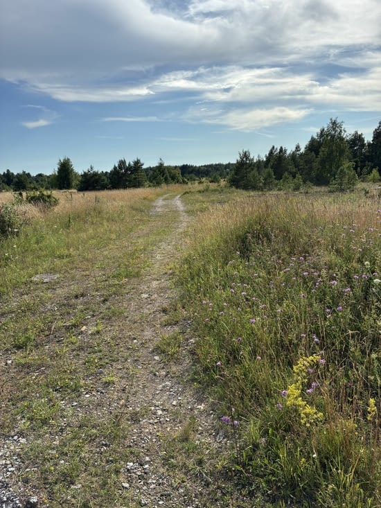 Tout de suite nous nous mettons en route par un sentier indiqué sur Google maps…