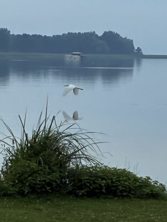 Et la joie de l’envol au matin