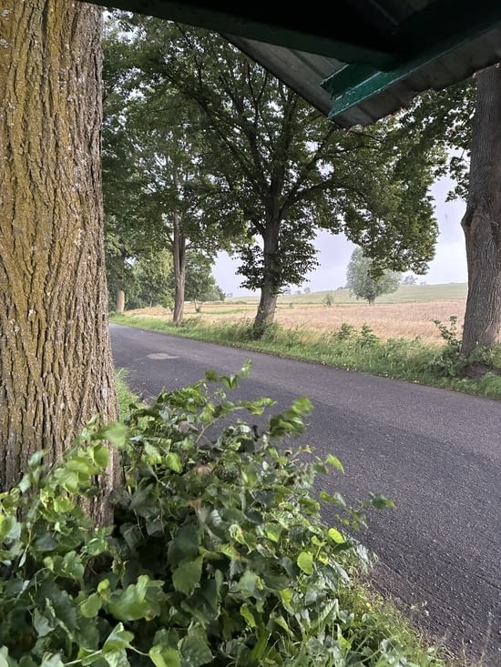 Au moment où le vent se lève et que les premières gouttes tombent.