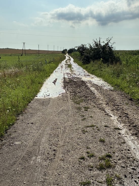 Mais il faut bien continuer la route… enfin ce qui en tient lieu….