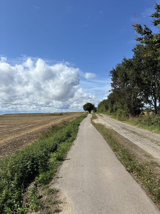 Nous reprenons la route….