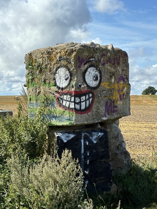 Accompagnés par le sourire d’un démon malicieux et peu agressif.