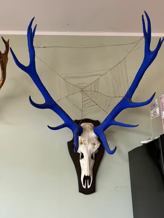 … et qui propose une intéressante critique de la chasse.