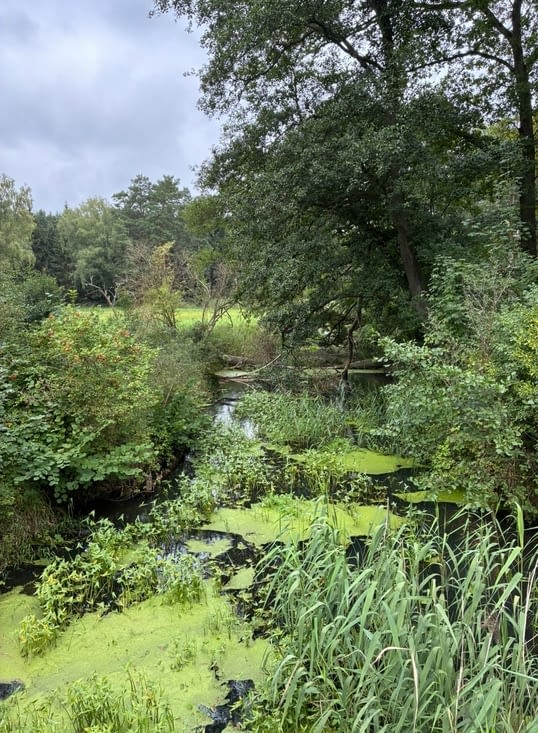 … et la traversée de paysages encore assez sauvages au nord de Berlin…