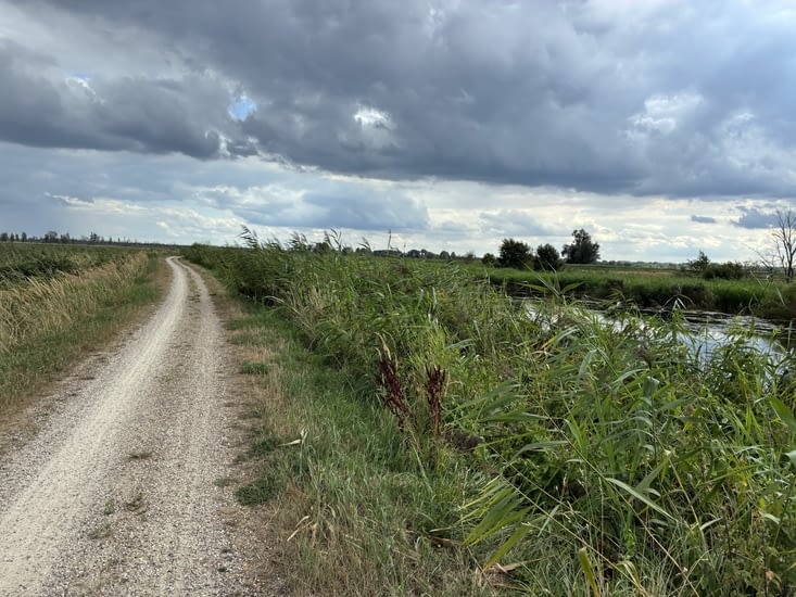 Les chemins sont déserts et c’est bien agréable.