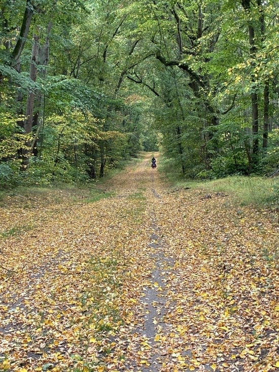 Mais nous voyons, à toutes ces feuilles mortes 🍂 qui jonchent déjà le sol…
