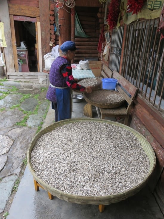 Des pipasses par kilos. C'est une Naxi, ethnie au système matriarchal. C'est donc elle qui gère la maison.