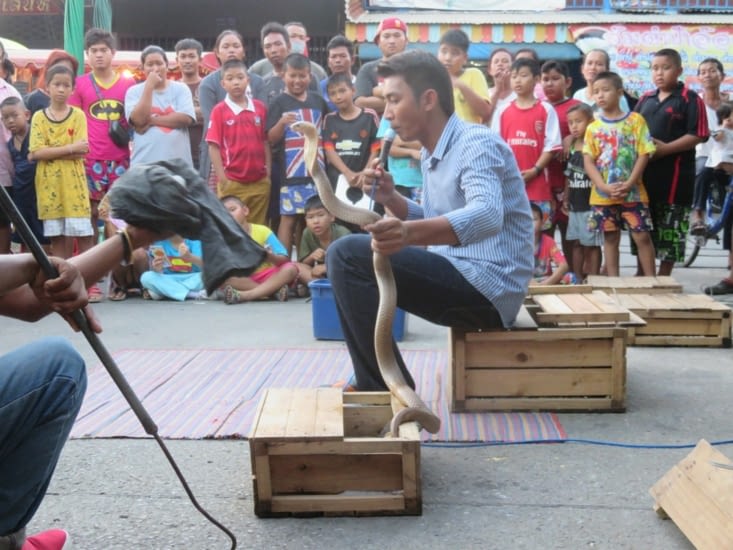 Après la baignade, retour au village, avec sa présentation de serpents au milieu de la foule: cobra, annaconda, et d'autres. Entre 2 serpents, ils vendaient des bouddhas et des carte de voeux.