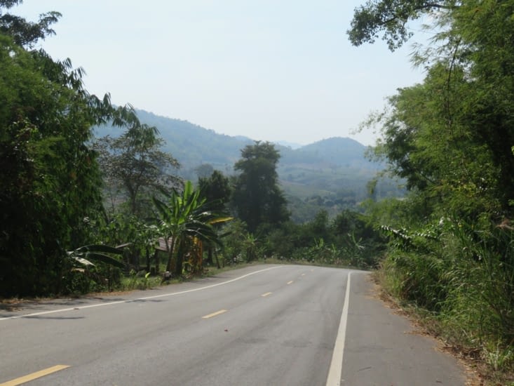 On vient d'aider 2 thaïlandais à éteindre un feu intempestif autour d'un temple, avec des branches feuillues. On reprend la route.