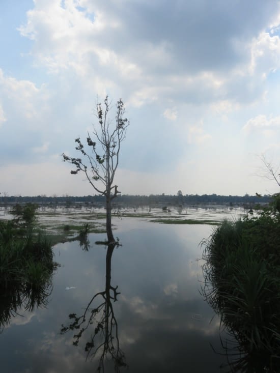 Trop long à peindre, je ne ferai que le prendre en photo.