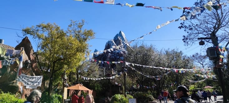 Ballade dans le parc