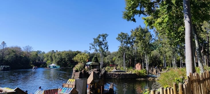 Ballade dans le parc