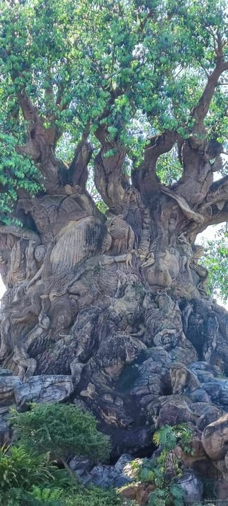 Sculpture dans arbre de la vie