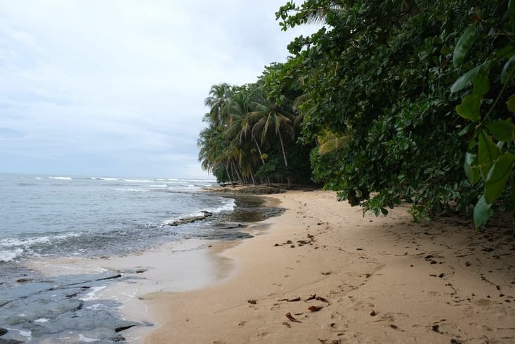 La réserve de Manzanillo