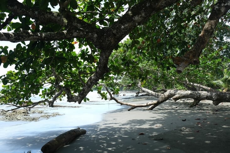 La belle plage de la réserve