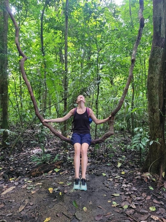 Des lianes impressionnantes