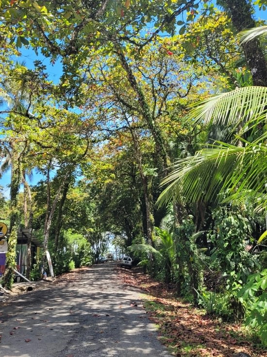 Au bout, la réserve de Bahia Ballena