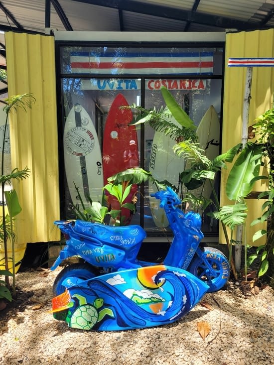 Un petit cours de surf ?