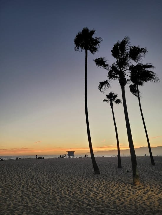 Les couleurs du ciel avec les palmiers :) on dit OUI !