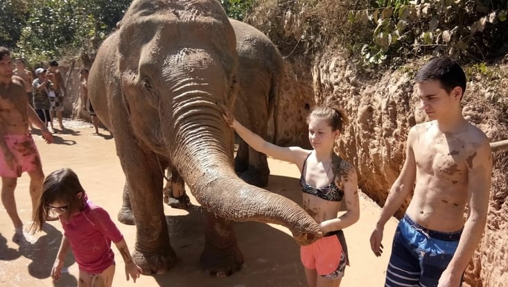 Qui aurait pensé qu'un jour nous prendrions un bain de boue avec les éléphants... !!