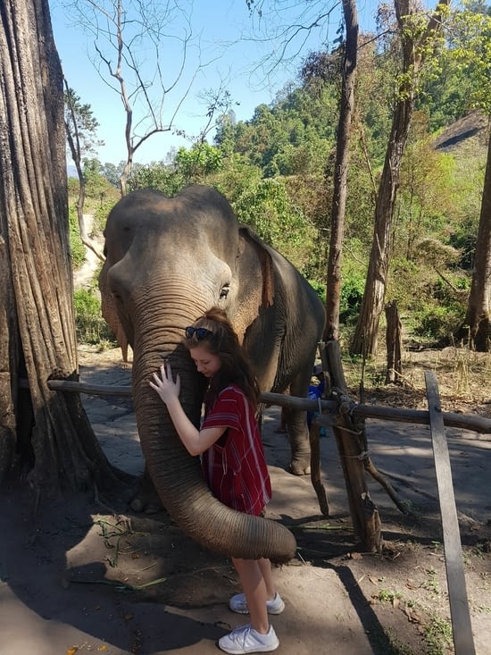 Sanctuaire des éléphants