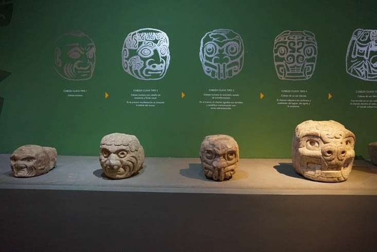 Les autres têtes exposées au musée