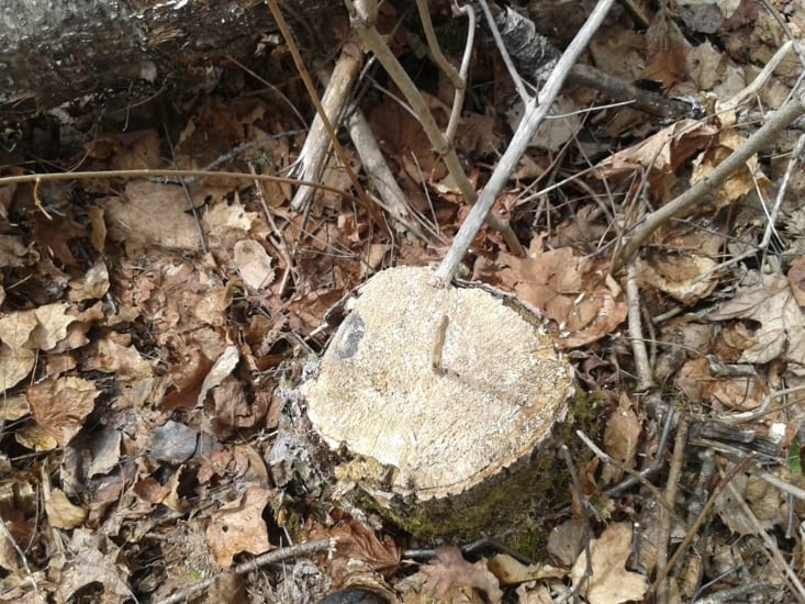 Cadran solaire création de Max