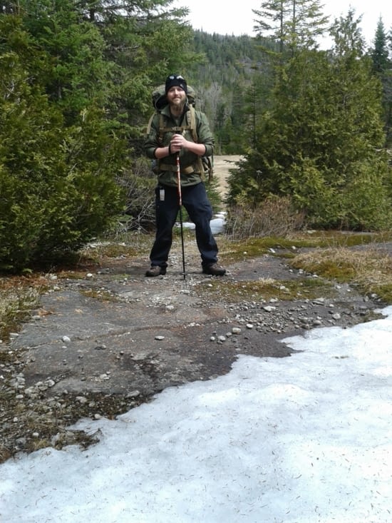 Le barbu du nord sur son territoire