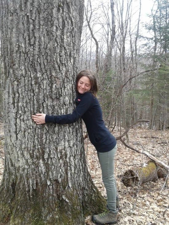 Un chêne gigntesque vieux d'environ 180 ans. Quel privilège d'y faire un câlin d'amour