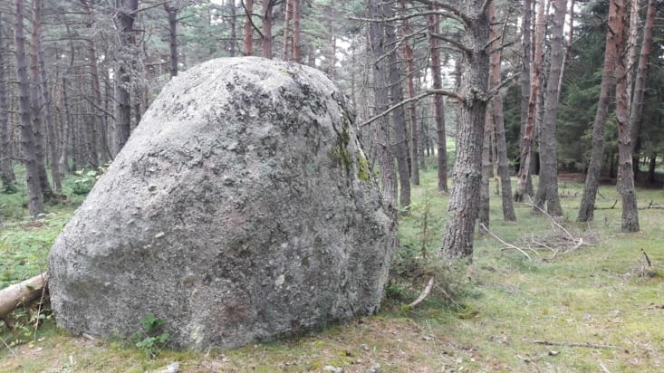 La pierre des druides dans la forêt de la Margeride