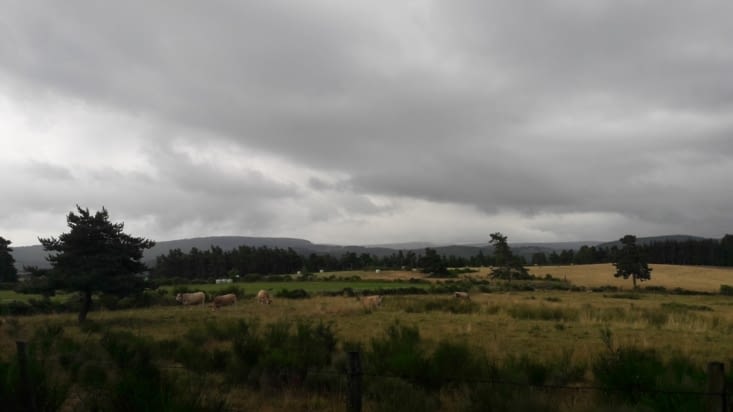 Dernière photo de l'après midi avant de mettre mon appareil au sec