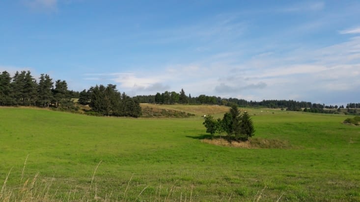 Parfois ensoleiĺlés...