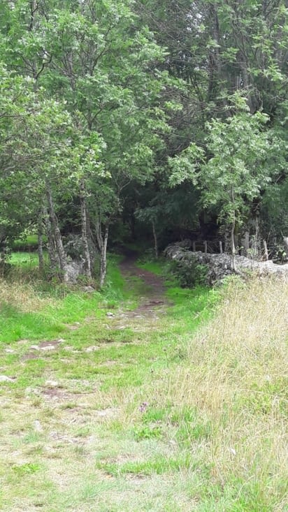 Nous reprenons le chemin... le ventre plein!