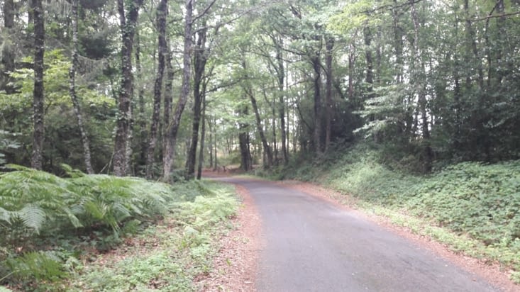 Et derniêre ligne droite avant l'arrivée au gite