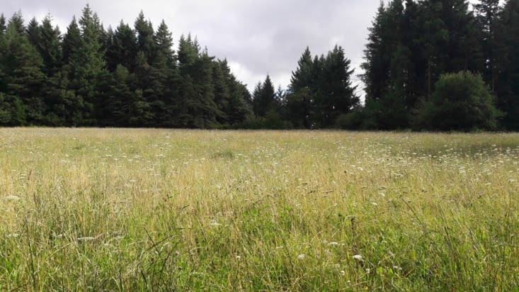 Avec toujours de beaux