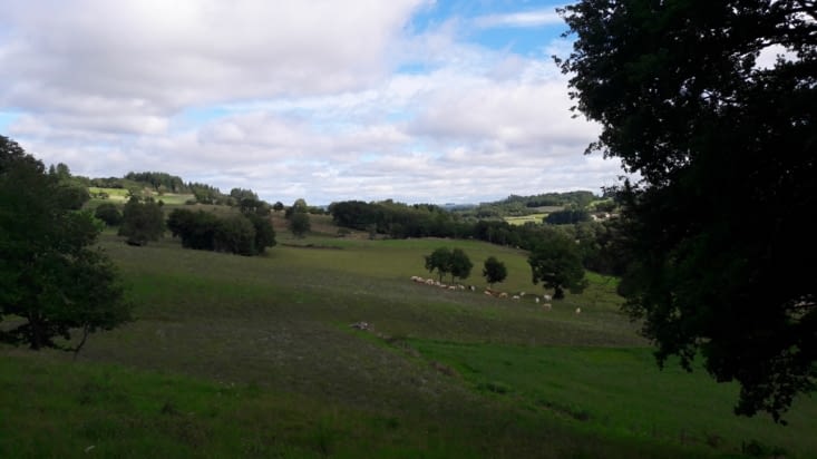 Et on continue de cheminer dans la campagne...