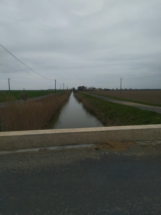 Marais caractéristiques au nord de la Rochelle