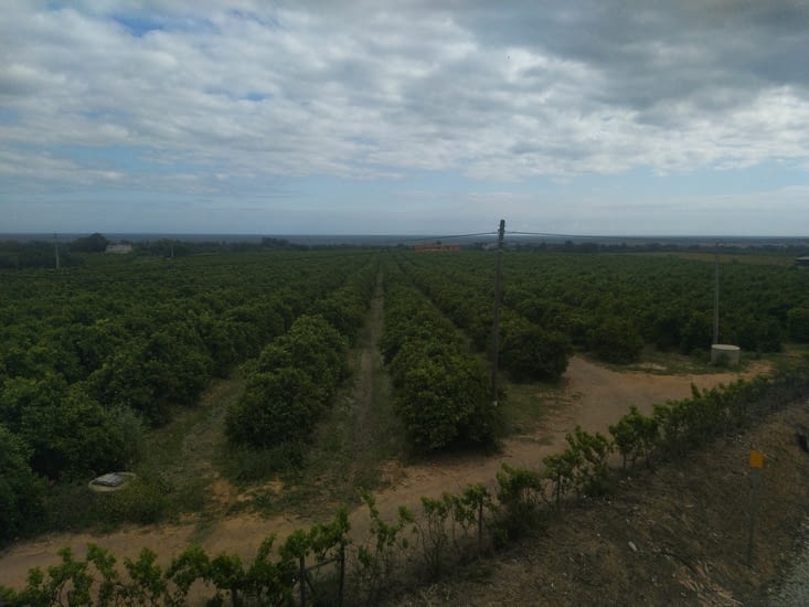 Le Portugal résumé en quelques photos
