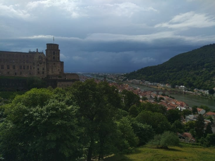 Vue depuis le château de Heidelberg